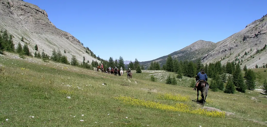 Équitation